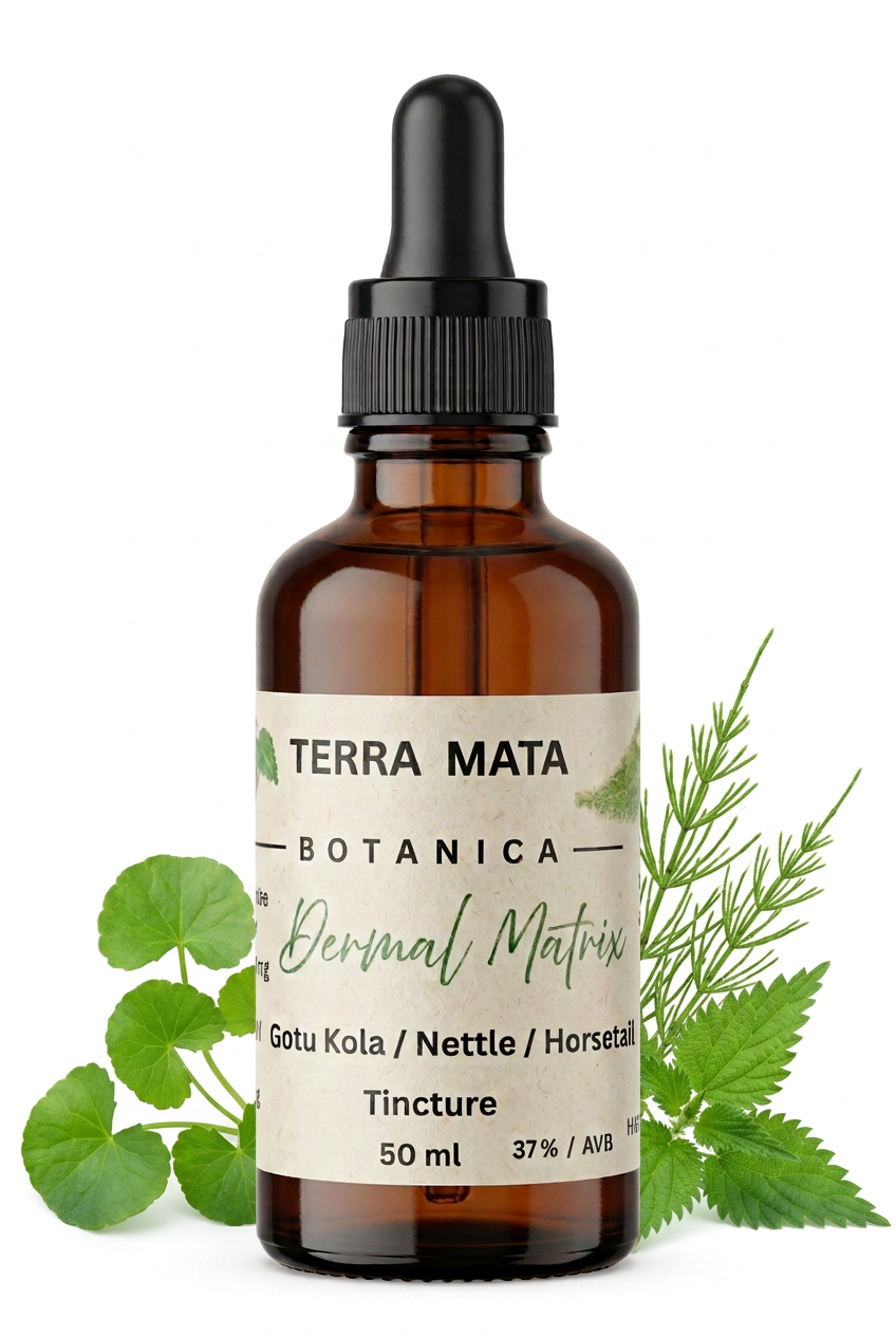 terra mata botanica tin by gotu kola, nettle and horsetail on a white background 