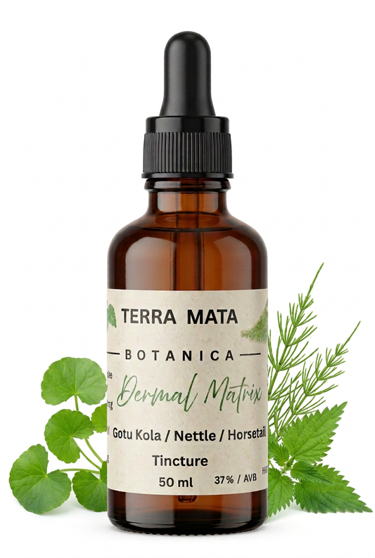 terra mata botanica tin by gotu kola, nettle and horsetail on a white background 