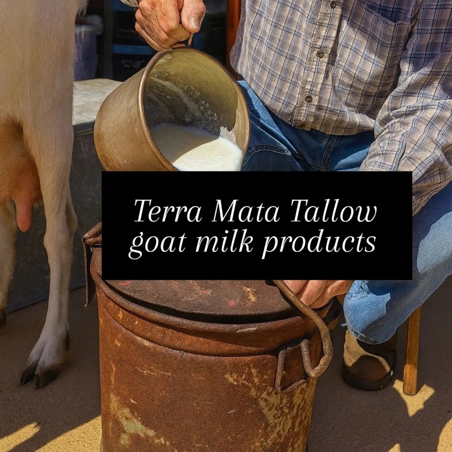 Goat milk and tallow balm face and body lotion