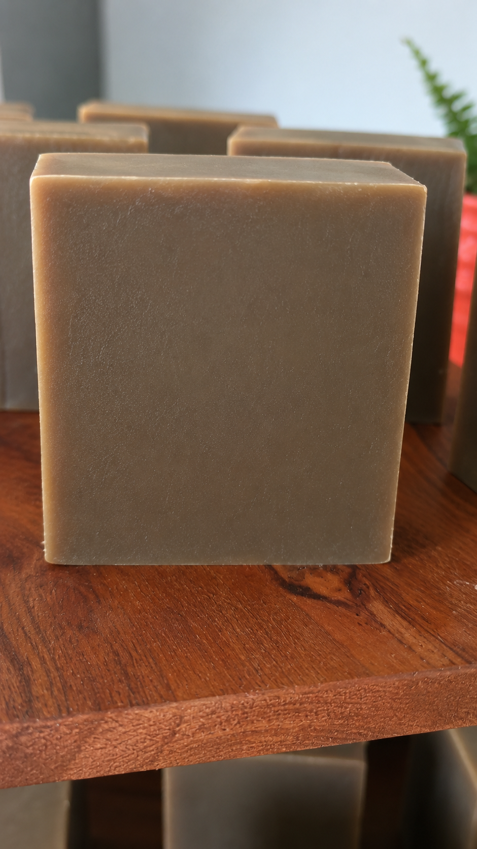 Pinetar & Nettle Scents of the Woods